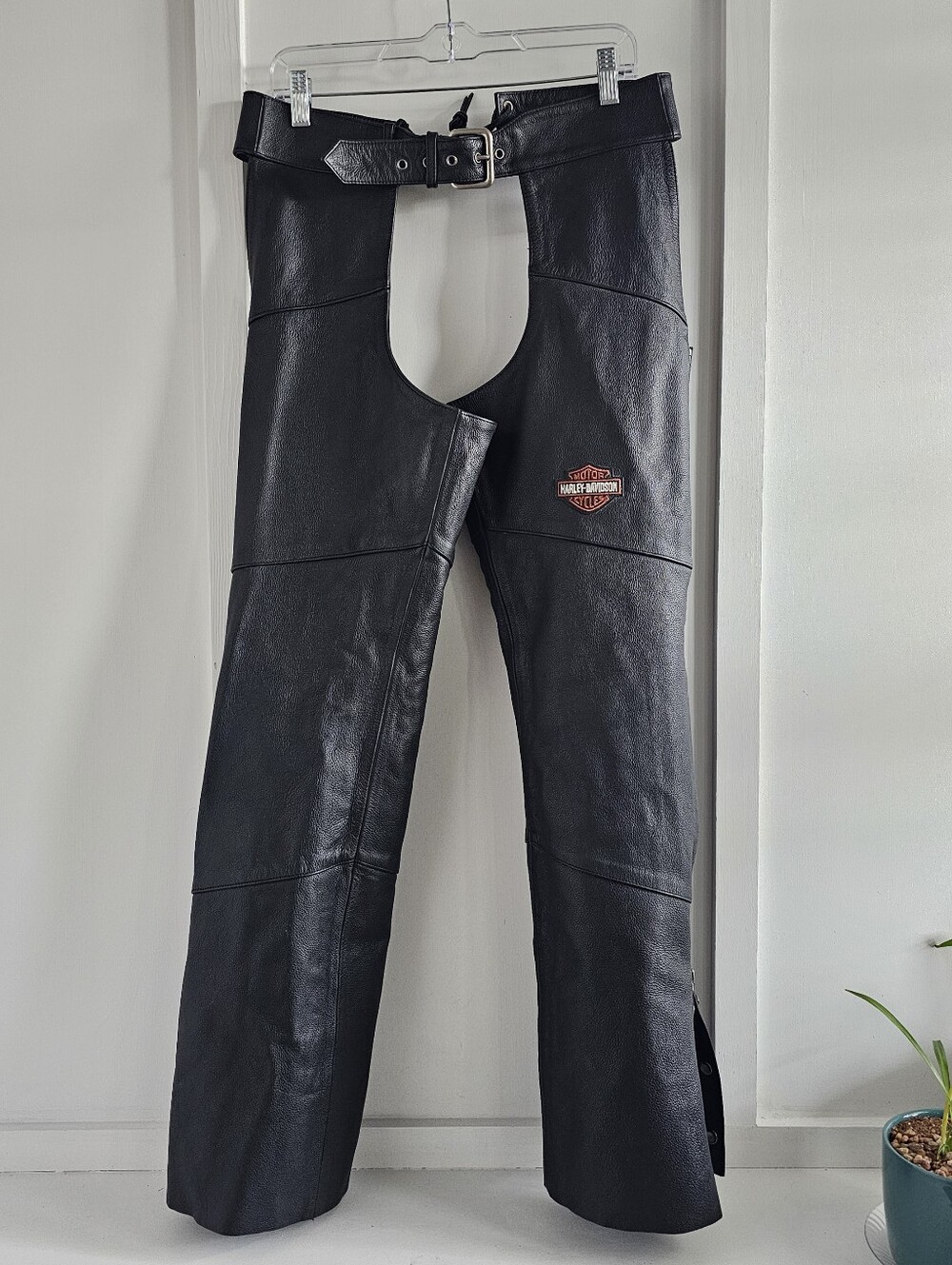 Harley Davidson Full Grain Leather Chaps - Like New!